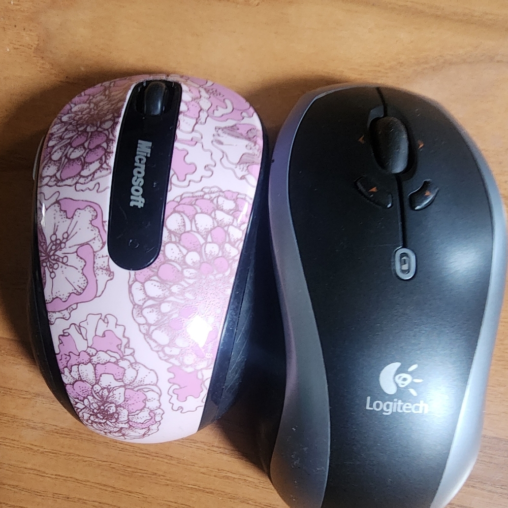 2 Mouses